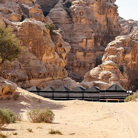 فندق مخيم عمارين البدوي وادي موسى المظهر الخارجي الصورة