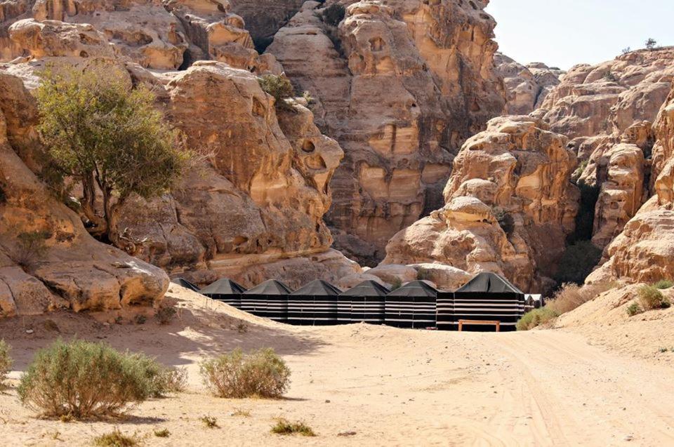فندق مخيم عمارين البدوي وادي موسى المظهر الخارجي الصورة