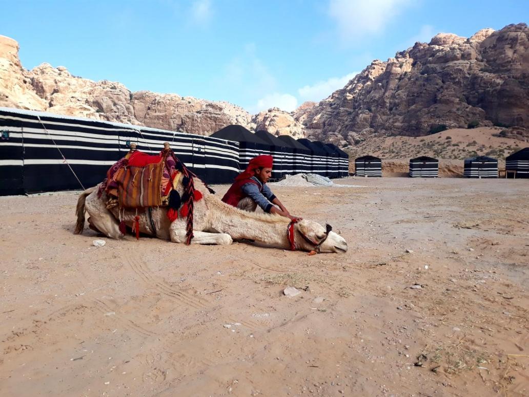 فندق مخيم عمارين البدوي وادي موسى المظهر الخارجي الصورة