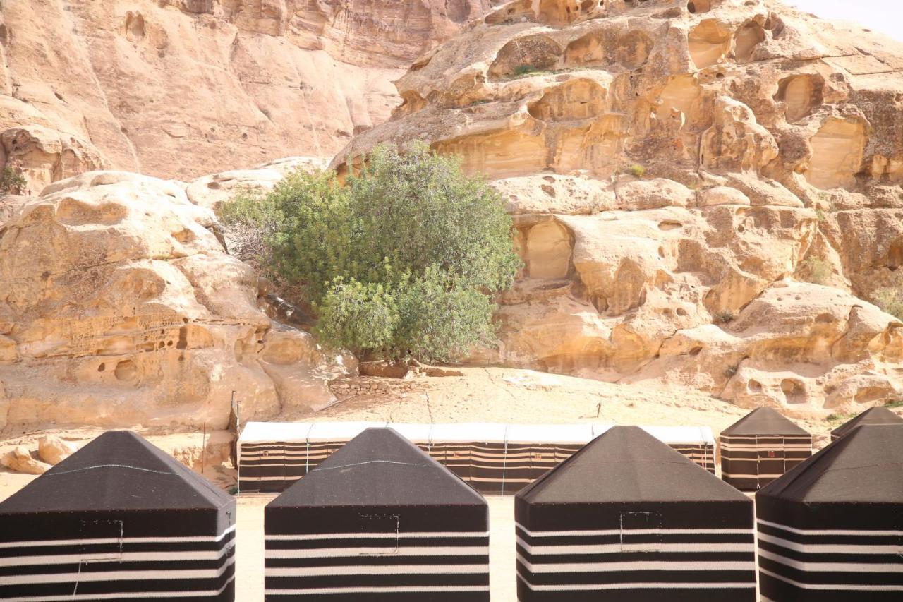 فندق مخيم عمارين البدوي وادي موسى المظهر الخارجي الصورة